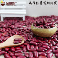 Dark Red Kidney bean 2015 crop HPS size 200-220pcs/100g